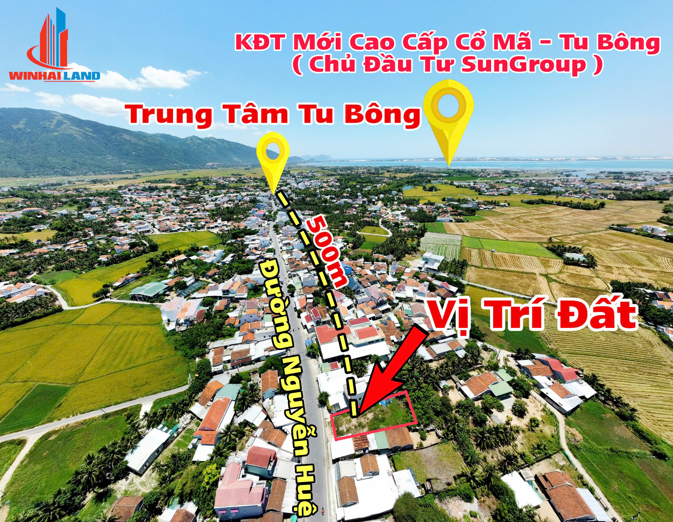 Z5936099537161_4b4b90b2c41d5c656a6ba67152fac856