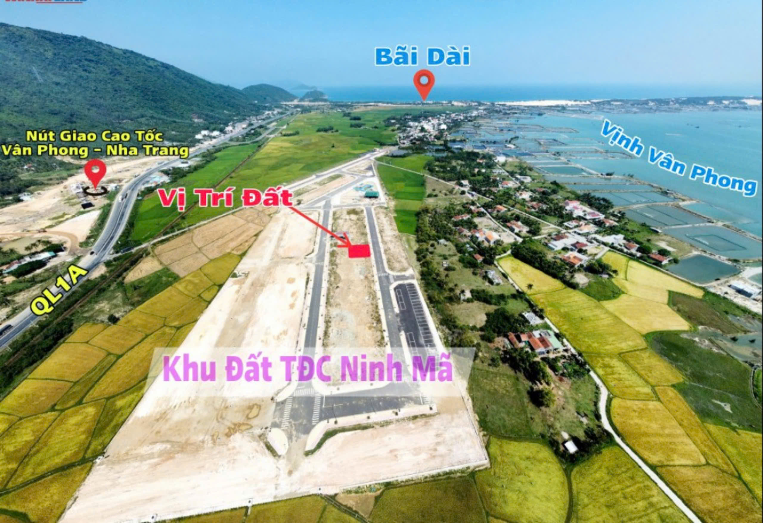 Z5936110821784_8ebd600b135196a632f474e9064ce28f